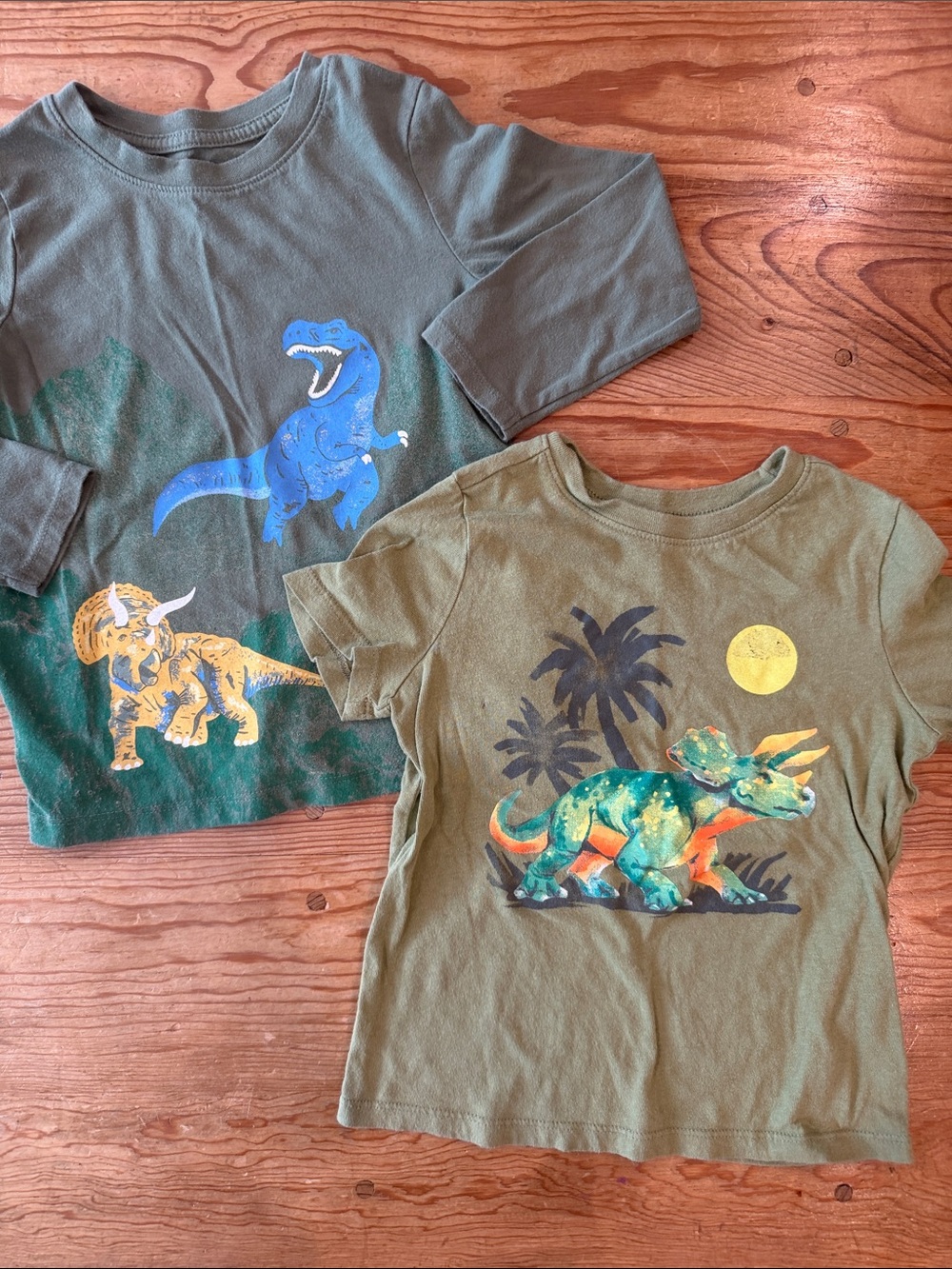 Kids Green Dinosaur Graphic Tees
